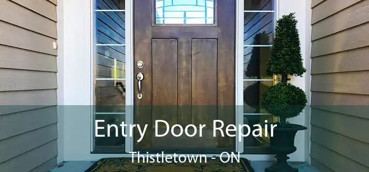  Entry Door Repair Thistletown - ON