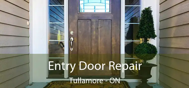  Entry Door Repair Tullamore - ON