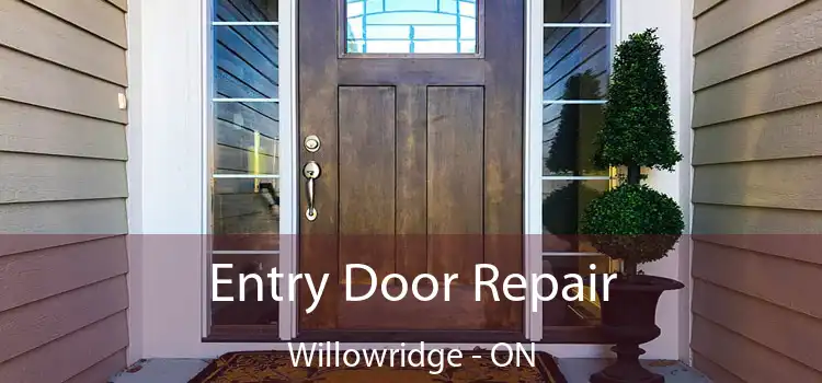  Entry Door Repair Willowridge - ON