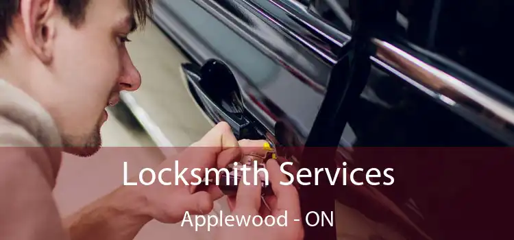  Locksmith Services Applewood - ON