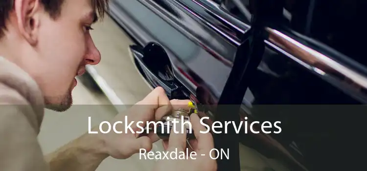  Locksmith Services Reaxdale - ON
