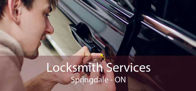 Locksmith Services Springdale - ON