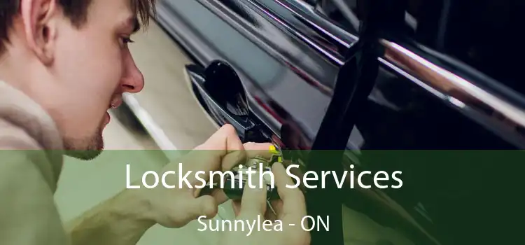  Locksmith Services Sunnylea - ON