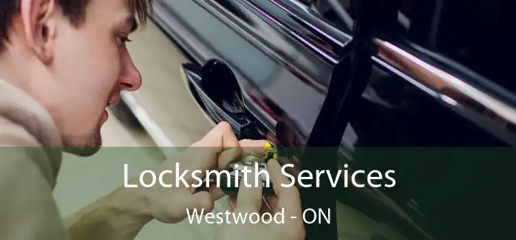  Locksmith Services Westwood - ON