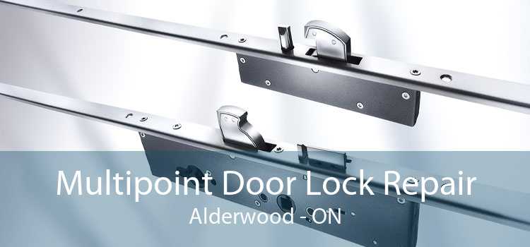 Multipoint Door Lock Repair Alderwood - ON