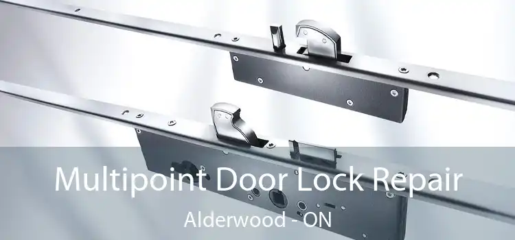  Multipoint Door Lock Repair Alderwood - ON