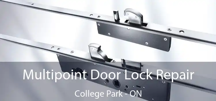  Multipoint Door Lock Repair College Park - ON