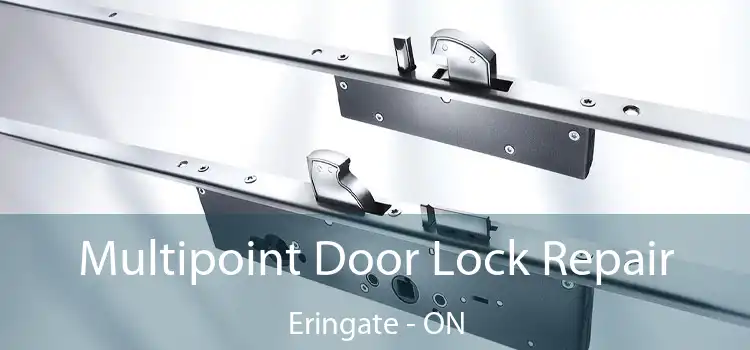  Multipoint Door Lock Repair Eringate - ON