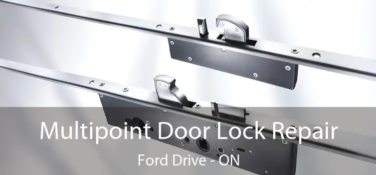  Multipoint Door Lock Repair Ford Drive - ON
