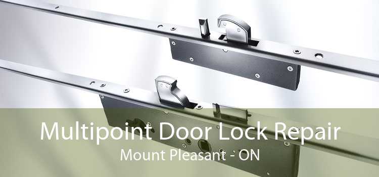 Multipoint Door Lock Repair Mount Pleasant - ON