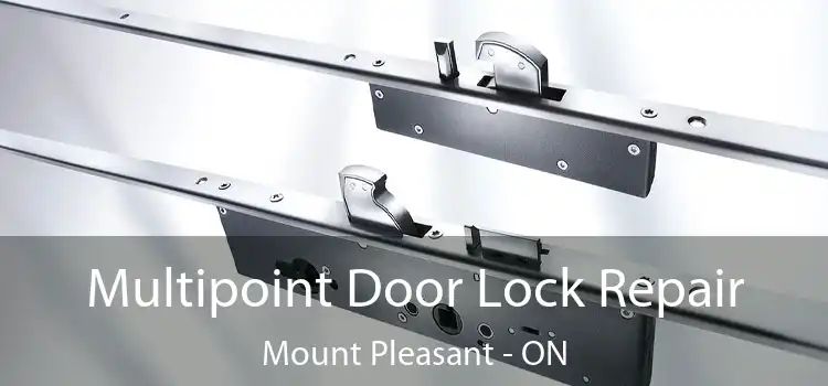  Multipoint Door Lock Repair Mount Pleasant - ON