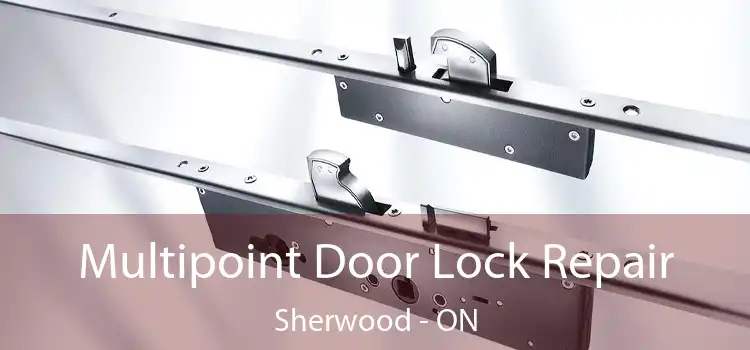  Multipoint Door Lock Repair Sherwood - ON