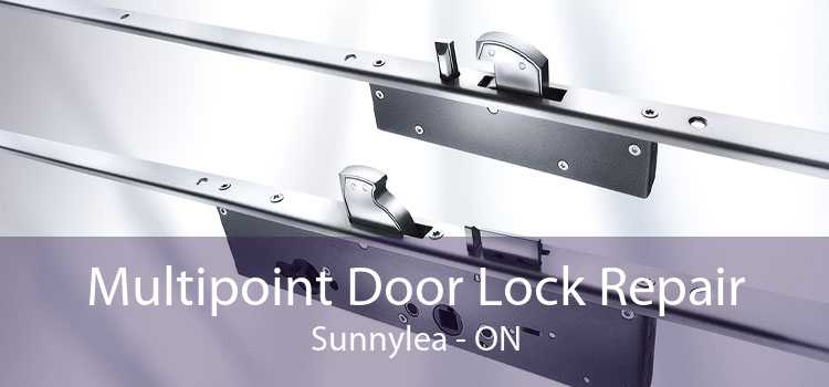 Multipoint Door Lock Repair Sunnylea - ON