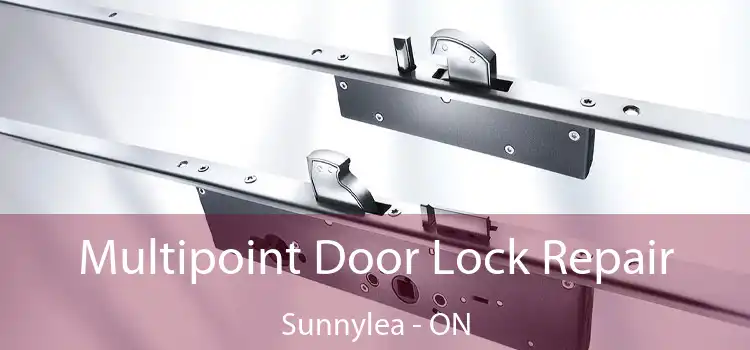  Multipoint Door Lock Repair Sunnylea - ON