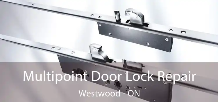  Multipoint Door Lock Repair Westwood - ON