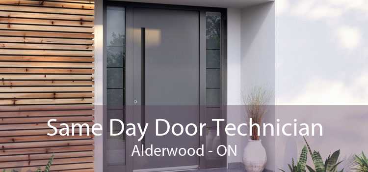 Same Day Door Technician Alderwood - ON