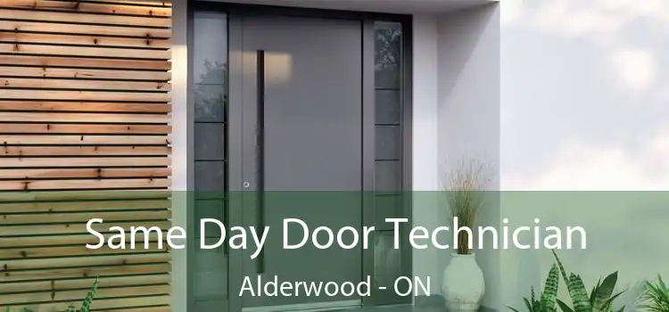  Same Day Door Technician Alderwood - ON