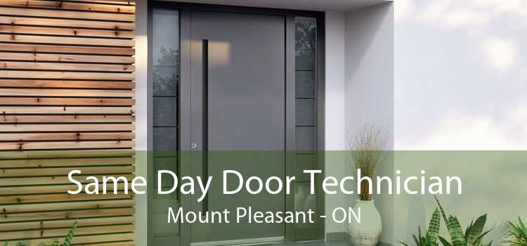 Same Day Door Technician Mount Pleasant - ON