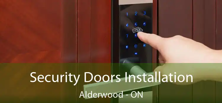  Security Doors Installation Alderwood - ON