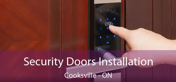  Security Doors Installation Cooksville - ON