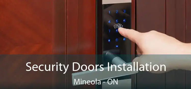 Security Doors Installation Mineola - ON