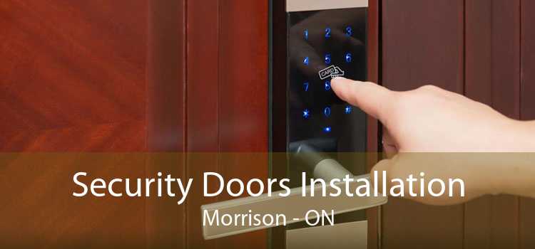 Security Doors Installation Morrison - ON