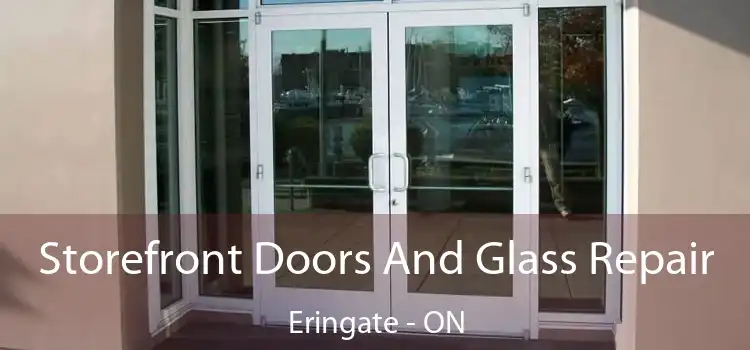  Storefront Doors And Glass Repair Eringate - ON