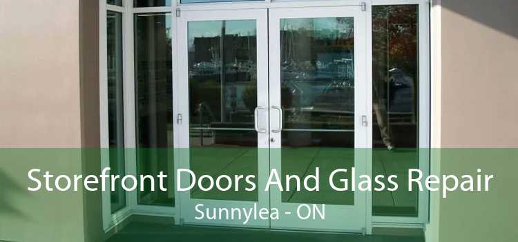 Storefront Doors And Glass Repair Sunnylea - ON
