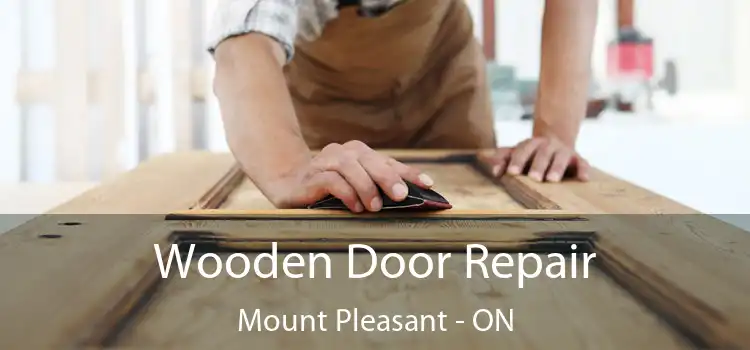  Wooden Door Repair Mount Pleasant - ON