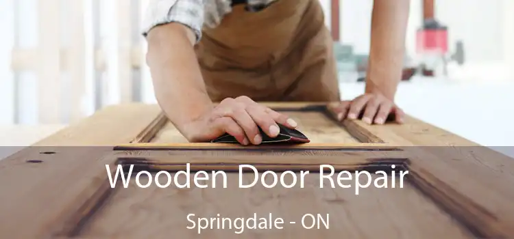  Wooden Door Repair Springdale - ON