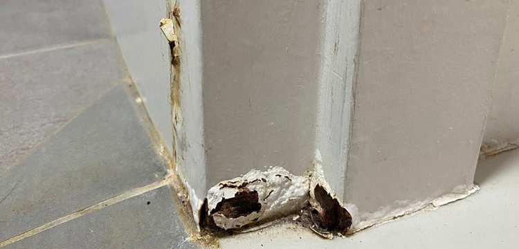 Front Door Frame Repair in Old Oakville, ON